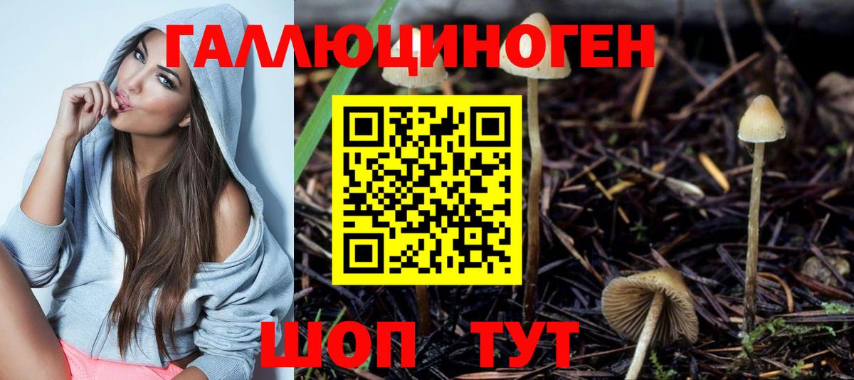 Псилоцибиновые грибы прущие грибы Партизанск