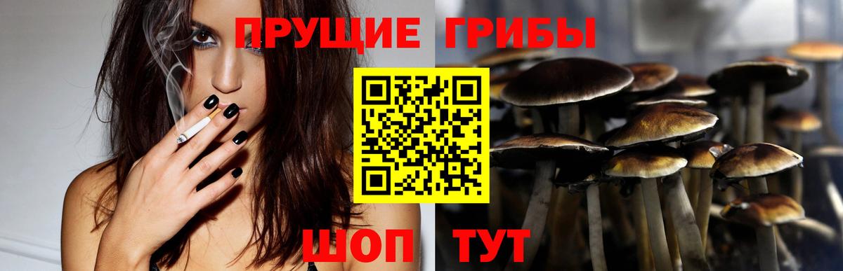 Меф МЯУ МЯУ   ГАШ  Cocaine  Партизанск  Каннабис  Вход с VPN 